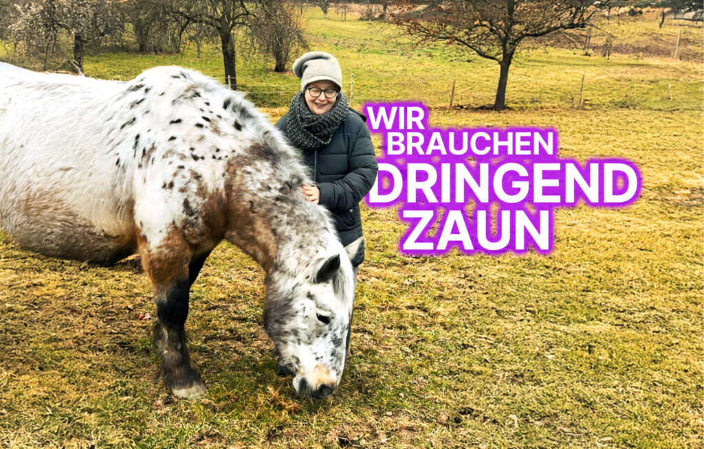Unser Pferd Bea grast und Uli spreichelt sie dabei